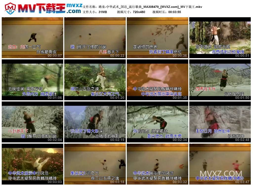 路童-中华武术_国语_流行歌曲_MA308479